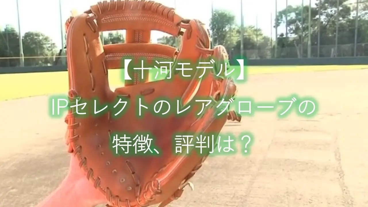 十河モデル】IPセレクトのレアグローブの特徴、評判は